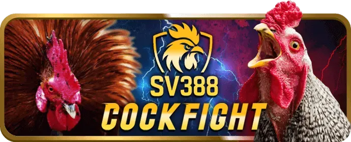 Chơi slot trên điện thoại di động với VM88